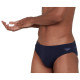 Speedo Ανδρικό μαγιό